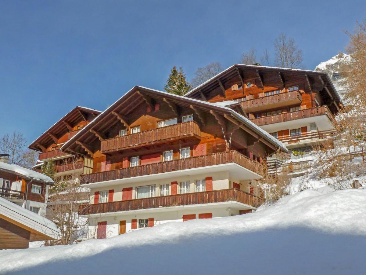 Apartment Plein Soleil By Interhome Wengen Exterior foto